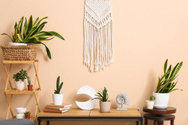 Odanın içinde bank, raf ünitesi ve yeşil bitkiler var.