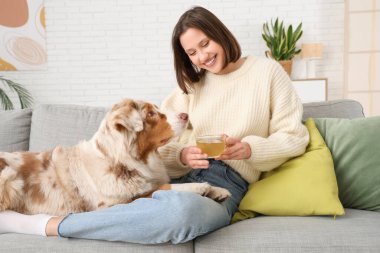 Evde sevimli bir köpekle kanepede otururken yeşil çay içen mutlu genç kadın.