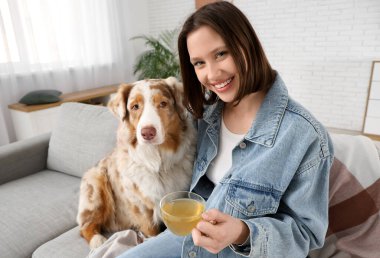 Şirin bir Avustralya çoban köpeği ve evdeki kanepede çay içen genç ve mutlu bir kadın.