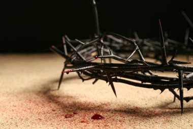 Kum üzerinde kan lekesi olan dikenli taç.