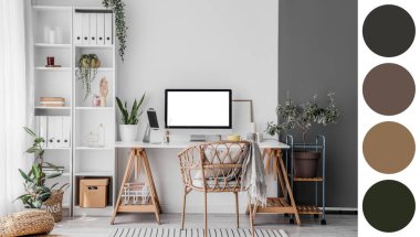 İşyeri, raf ünitesi ve ev bitkileriyle aydınlık ofisin içinde. Farklı renk desenleri