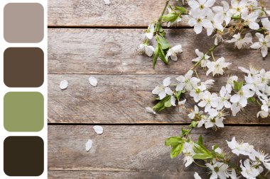 Ahşap arka planda güzel açan dallar