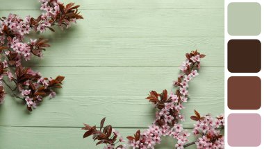 Yeşil ahşap arka planda çiçek açan ağaç dalları. Farklı renk desenleri