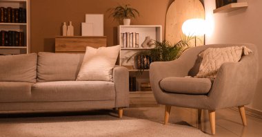 Rahat kanepesi, kitaplığı ve koltuğu olan bir oturma odası.