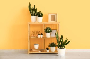 Odadaki sarı duvarın yanında ev bitkileri, çerçeveler ve kitaplarla raf ünitesi.
