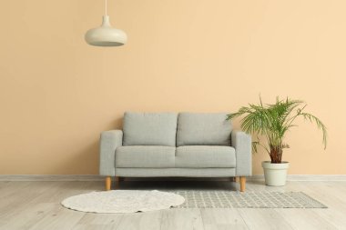 Saf gri kanepe ve bej duvarın yanındaki çiçek.