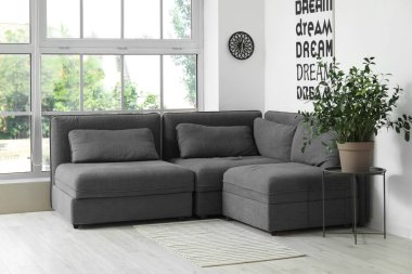 Işıl ışıl oturma odasının içinde rahat gri kanepe, çiçek ve poster var.