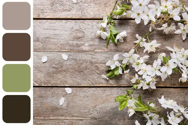 Ahşap arka planda güzel açan dallar