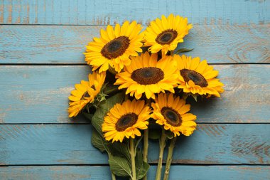 Mavi ahşap arka planda güzel ayçiçekleri