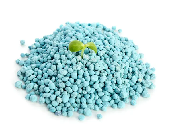 Beyaz zemin üzerinde mavi granüler gübre yığınından yeşil filizlenen