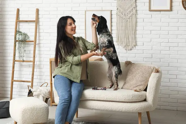 Bayan köpek bakıcısı evcil hayvanı eğitiyor.