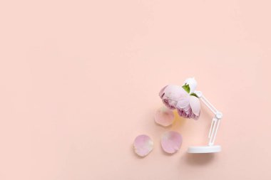 Renkli arkaplanda küçük masa lambası ve güzel çiçekli kompozisyon