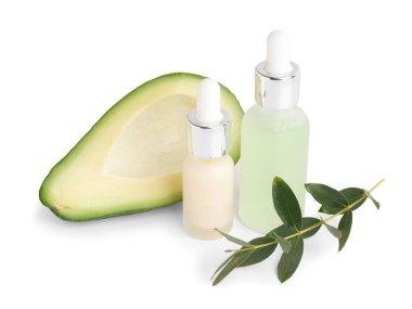 Beyaz arka planda gerekli yağ, avokado ve okaliptüs dalları