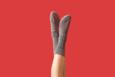 Kırmızı arka planda, sıcak gri örgü çoraplı genç kadın bacakları.