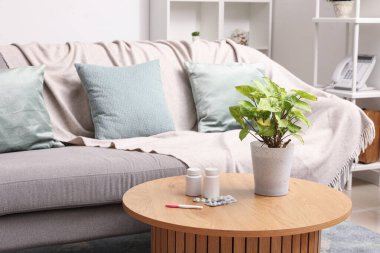 Hamilelik testi. Hamilelik testi. Hap ve bitki oturma odasında.