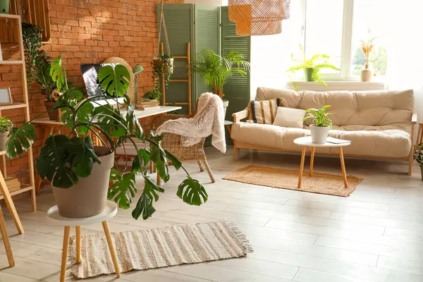 Çalışma odası, yeşil bitkiler ve kanepe.