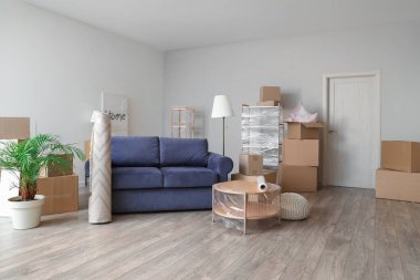 Carton boxes, houseplant and furniture in new living room on moving day