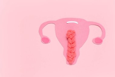 Paper uterus on pink background