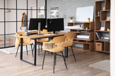 Çalışma yeri, raf üniteleri ve bitkileri olan şık bir ofis.