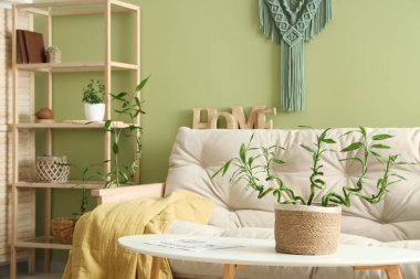 Bambu sapları ve kanepesi olan yeşil bir oturma odası.