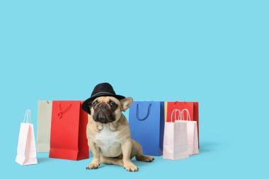 Mavi arka planda alışveriş torbalarının yanında oturan şapkalı sevimli Fransız bulldog.