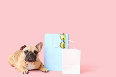 Alışveriş torbaları ve pembe arka planda güneş gözlüğü olan sevimli Fransız bulldog 'u.