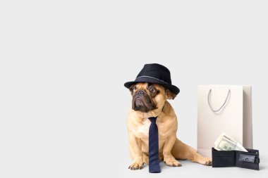 Beyaz arka planda şapkası, kravatı, alışveriş çantası ve cüzdanı olan sevimli bir Fransız bulldog.