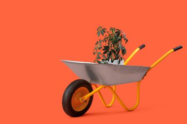 Turuncu arka planda bitki ve el arabası