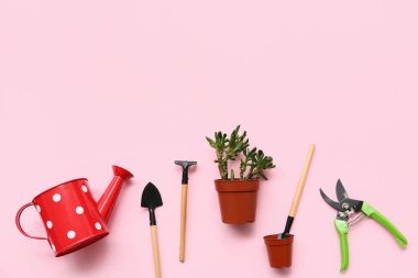 Esrara bitki, pembe arka planda bahçe aletleri. Üst görünüm