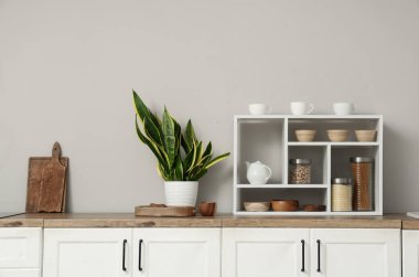 Ev bitkisiyle modern mutfağın iç mimarisi.