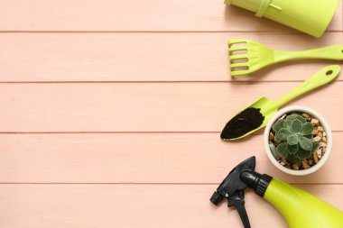 Pembe ahşap arka planda sulu ve bahçe aletleri. Üst görünüm