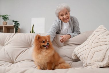 Pomeranya köpeğiyle evdeki kanepede oturan son sınıf öğrencisi kadın.
