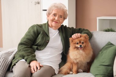 Pomeranya köpeği olan yaşlı bir kadın evdeki kanepede oturuyor.