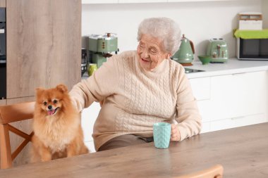 Mutfaktaki masada çay ve Pomeranya sosisli sandviçli son sınıf kadını.