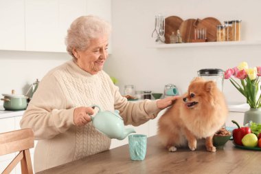 Pomeranya köpeğiyle kıdemli kadın mutfaktaki masaya çay koyuyor.