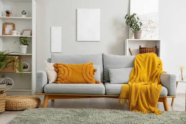 Gri kanepesi, raf ünitesi ve bitkileri olan oturma odasının içinde.