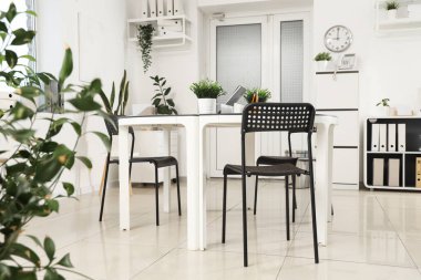 Çalışma yeri, kapısı ve bitkileri olan modern ofis.