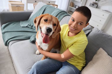 Evdeki kanepede oturan sevimli av köpeğiyle küçük Afro-Amerikalı çocuk.