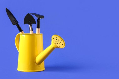 Renk arkaplanında bahçe araçları olan sarı sulama kutusu