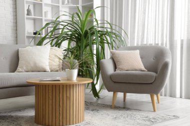 Oturma odasının içi kanepe, koltuk ve çiçeklerle dolu.