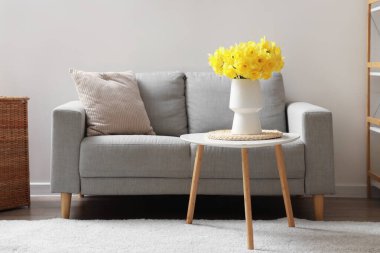 Gri kanepe ve kahve masası. Oturma odasında narsisli çiçek vazosu.