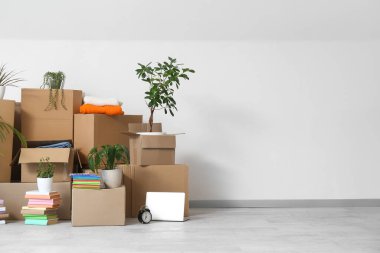 Taşındığı gün beyaz duvarın yanındaki ışık odasında saksılar ve karton kutular.