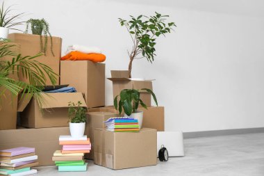 Taşındığı gün şık bir odada beyaz duvarın yanında ev bitkileri ve karton kutular.