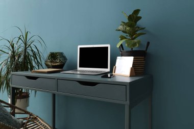 Ofiste mavi duvarın yanında dizüstü bilgisayarı ve bitkileri olan modern bir işyeri.