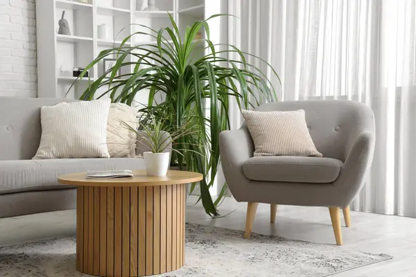 Oturma odasının içi kanepe, koltuk ve çiçeklerle dolu.