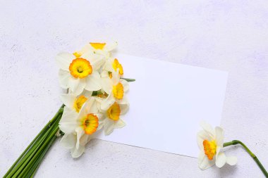 Nergis çiçekleri ve beyaz arkaplanda boş bir kart