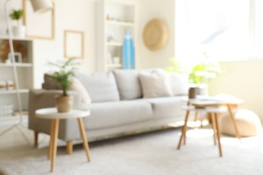 Oturma odasında rahat bir kanepe ve sehpa.