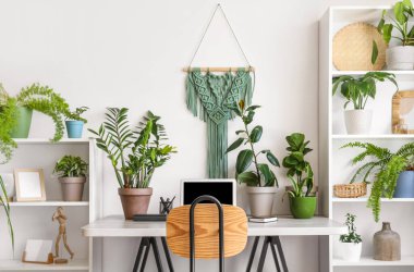 Interior of light office with workplace, shelf units and green houseplants