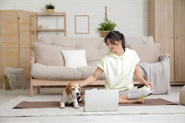 Genç sporcu kadın ve Beagle köpeği oturma odasında laptopla yoga yapıyorlar.