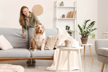 Evde şirin bir Avustralya çoban köpeği olan genç bir kadın.